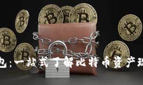 比特币观察钱包：一站式了解比特币资产现状的最佳工具