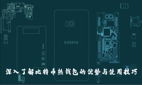 深入了解比特币热钱包的优势与使用技巧