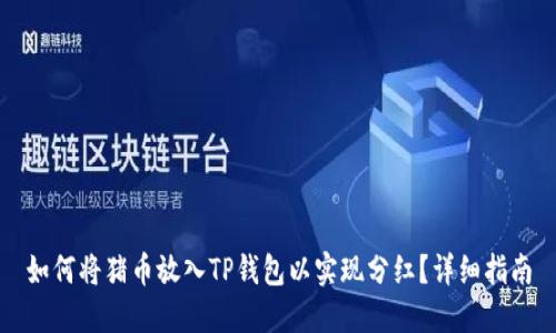 如何将猪币放入TP钱包以实现分红？详细指南