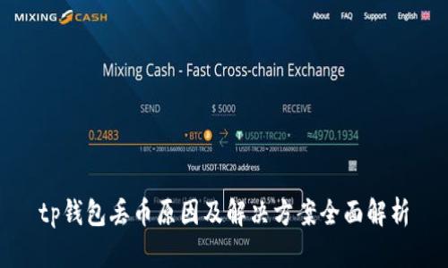 tp钱包丢币原因及解决方案全面解析