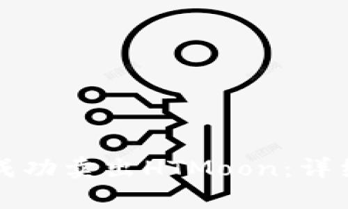 如何在TP钱包中成功卖出HTMoon：详细指南与实用技巧