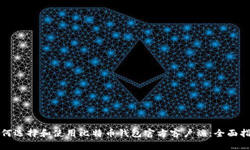 如何选择和使用比特币钱包官方客户端：全面指南