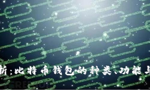 全面解析：比特币钱包的种类、功能与安全性