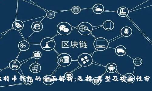 比特币钱包的全面解析：选择、类型及安全性分析