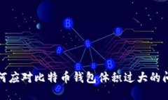 如何应对比特币钱包体积