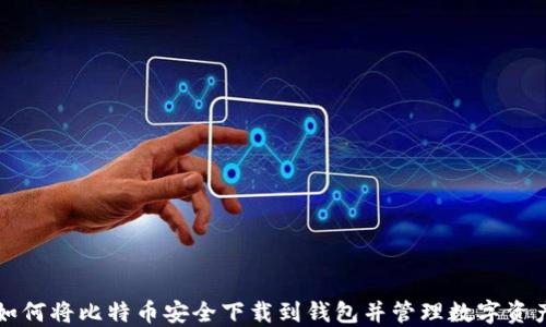 
如何将比特币安全下载到钱包并管理数字资产