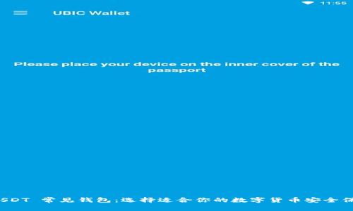全面分析 USDT 常见钱包：选择适合你的数字货币安全保管解决方案
