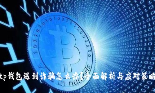 tp钱包遇到诈骗怎么办？全面解析与应对策略