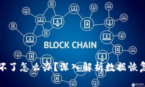 比特币钱包硬盘坏了怎么办？深入解析数据恢复与安全备份策略