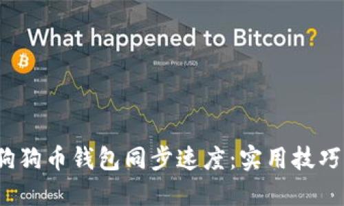  如何加速狗狗币钱包同步速度：实用技巧与解决方案
