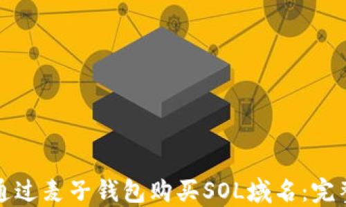 
如何通过麦子钱包购买SOL域名：完整指南